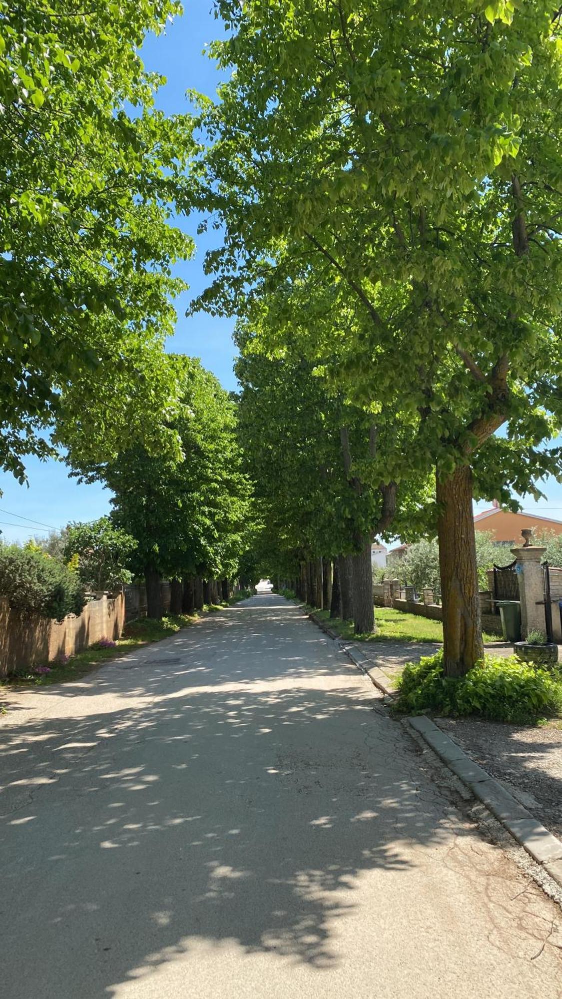 Apartment Vodnjan Eksteriør billede